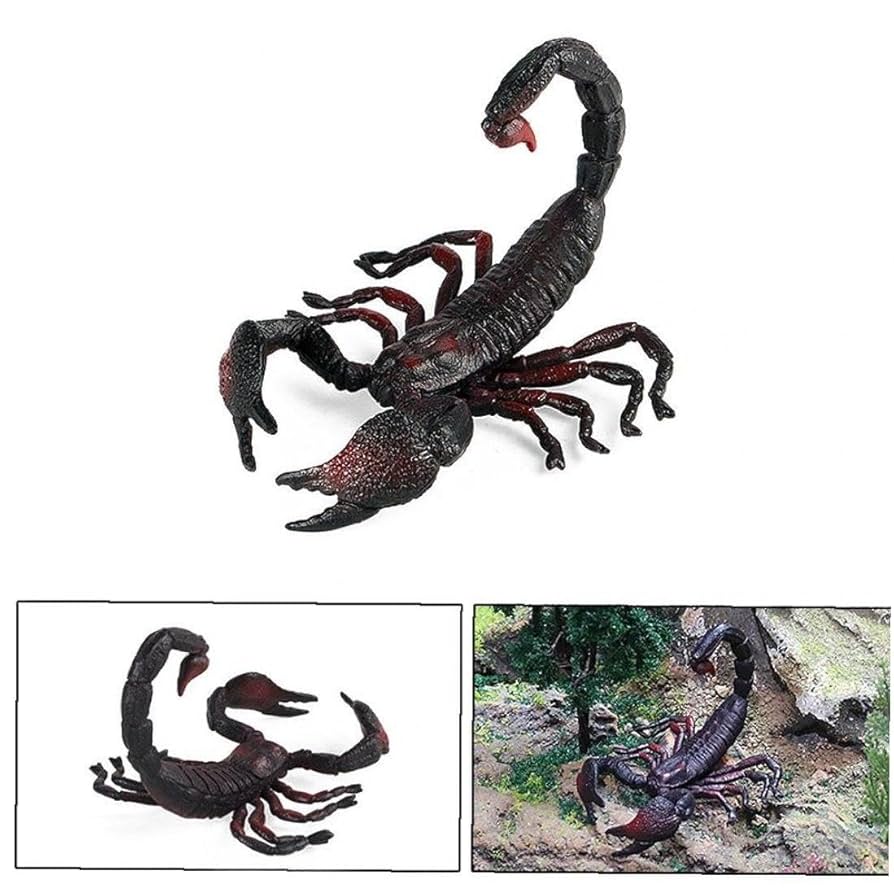 Amazon.co.jp: サソリの模型を模したリアルなプラスチックサソリ