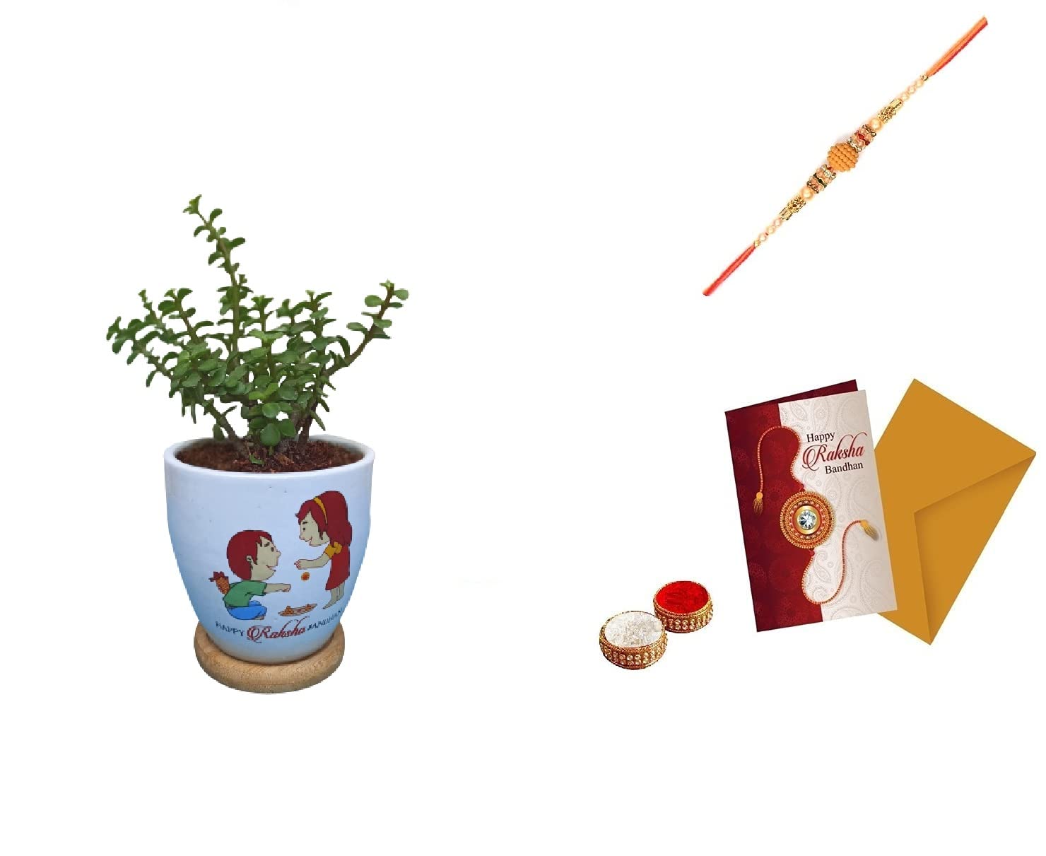 ARYANA ENTERPRISES Aryana Good Luck Jade Plant In Round Dew Ceramic Pot Air Purifier Rakhi gift for Brother (B08DK34KVL) Amazon Price History, Amazon Price Tracker