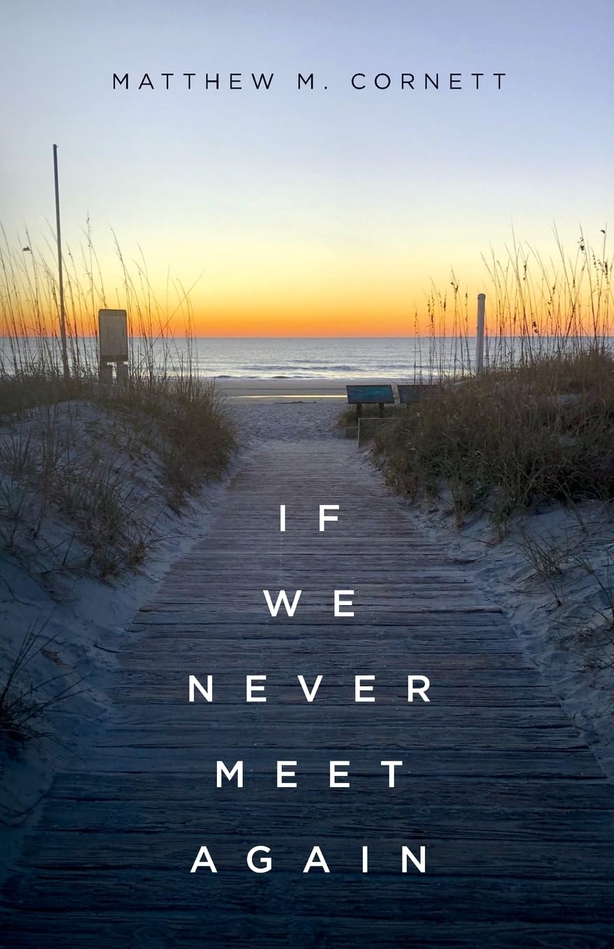 If We Never Meet Again