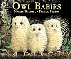 Owl Babies: 1