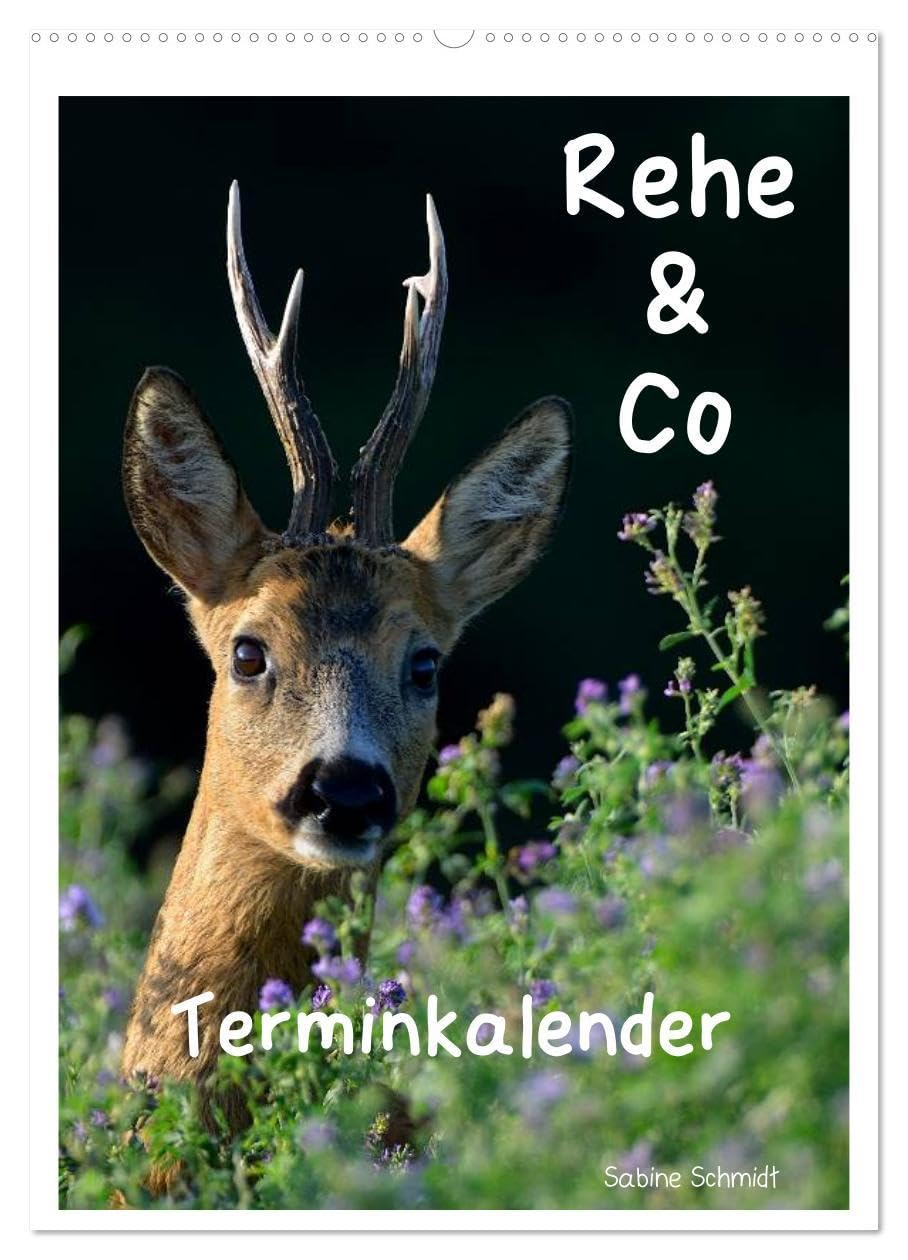 Rehe & Co/Planer (Wandkalender 2026 DIN A2 hoch), CALVENDO Monatskalender: Wildlife Rügen/Deutschland (CALVENDO Tiere)