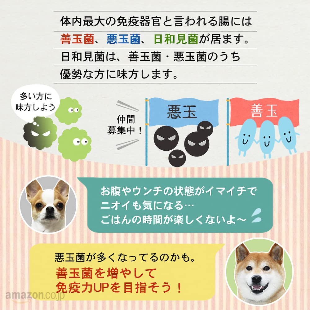 Native Dog プレミアムチキン 成犬用 9kg (3kg×3） ネイティブドッグ プレミアムチキン 成犬用 3kg 送料無料／一部