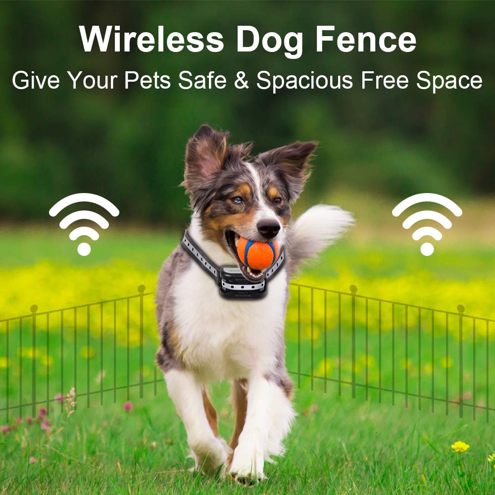 Do Sonic Dog Fences Work