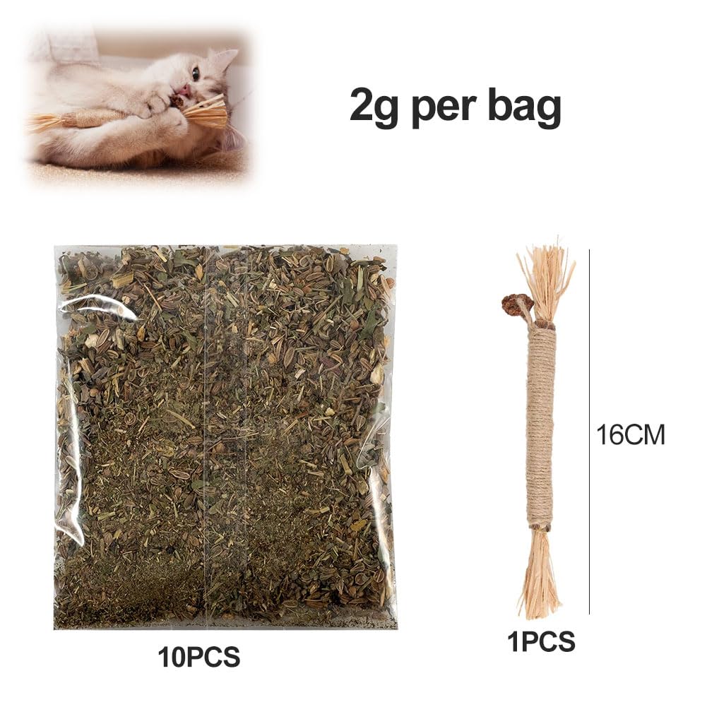 Cataire Biologique Pour Chats - 20g, Friandise Apaisante Et Stimulante, 100% Naturelle - 4