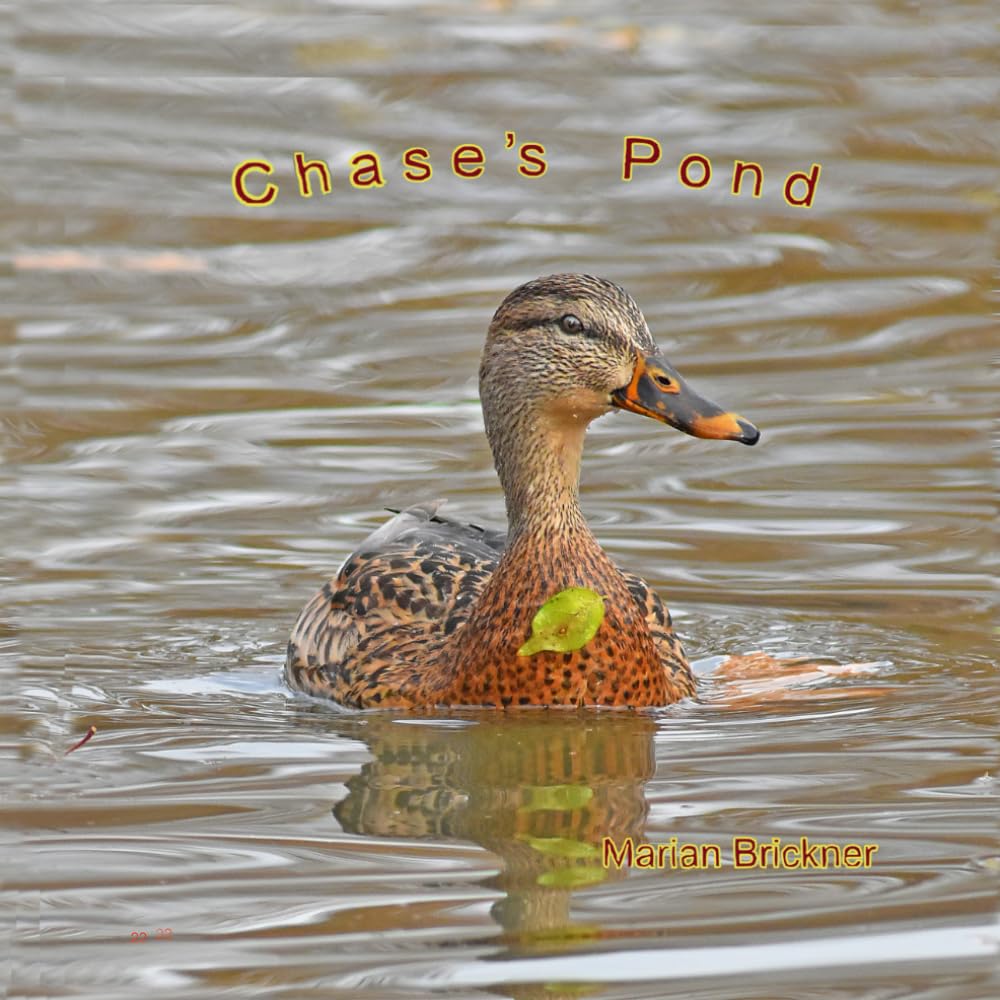 Chase's Pond une oeuvre murale d'exception aux finitions soignees