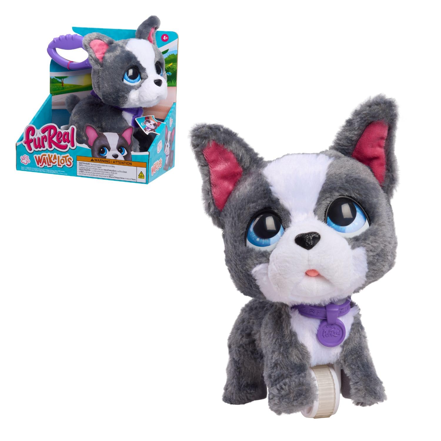 furReal Walk-A-Lots French Bulldog, 10 cm Tall Interactive Toy Dog, for Boys and Girls Ages 4 and Up by Just Play