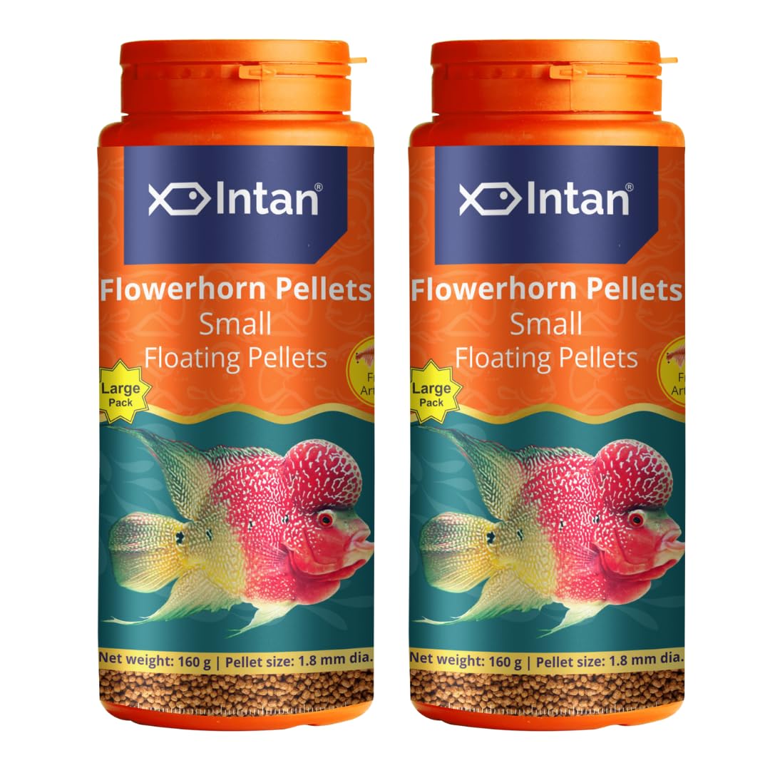Aquatic Intan Flower Horn Pellets for Fish | Aquarium Fish Food for All Life Stages Fishes | Daily Nutrition Fish Feed for Growth | Small Floating Pellet 160 Gm Each, 1.5 mm Dia, Pack of 2 (B0CSDBV97R) Amazon Price History, Amazon Price Tracker