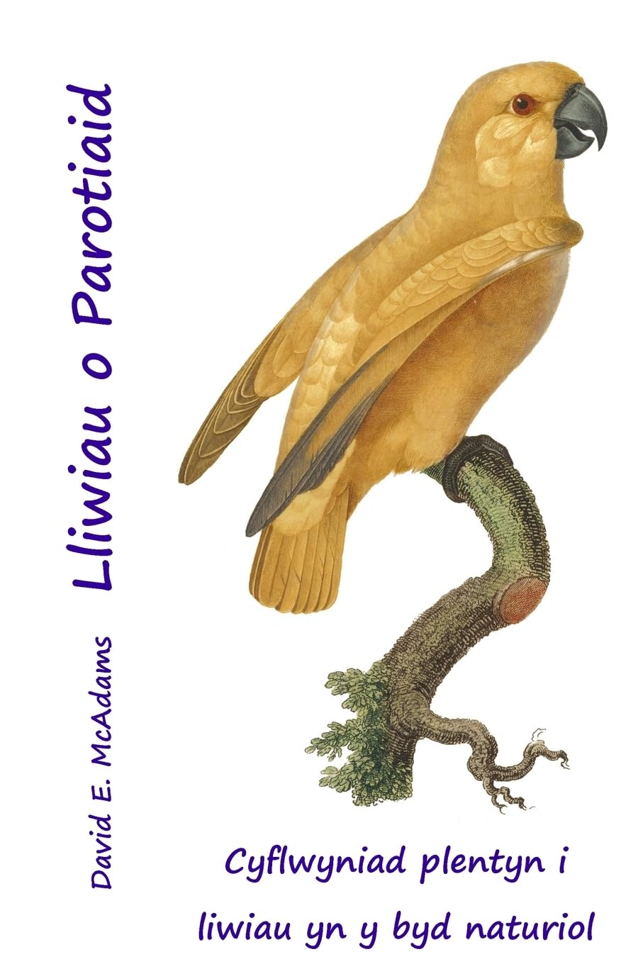 Lliwiau o Parotiaid: Cyflwyniad plentyn i liwiau yn y byd naturiol (Lliwiau Mewn Natur)