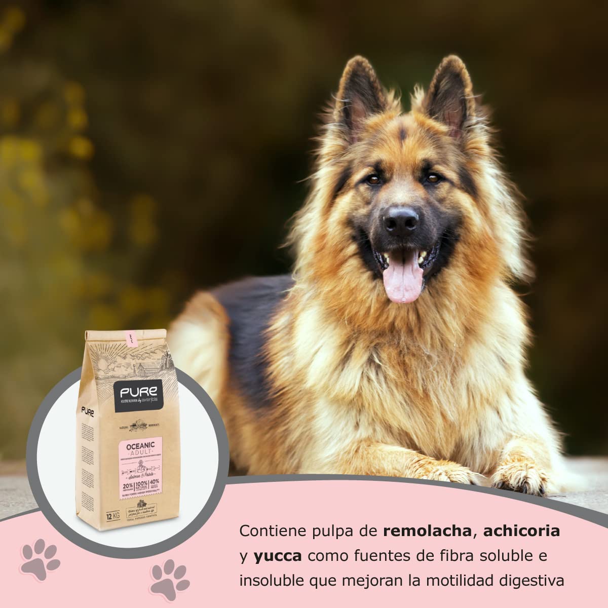 Pure Oceanic Adult Salmón y Patata 12 kg – Pienso Holístico con Carne Fresca para Perros Adultos – Estómago Sensible – Omega 3 y 6