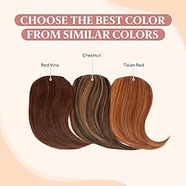 SARLA Clip in Side Bangs Extension Straight Synthetic Fake Bangs for Women One Piece Red Vino