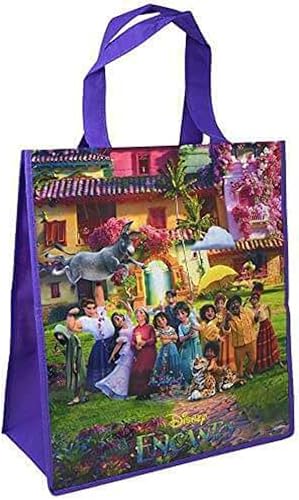 Legacy Licensing Partners Disney Encanto - Bolsa de mano ecológica grande Bolsa reutilizable no tejida de 13 x 15 Material duradero y 100%