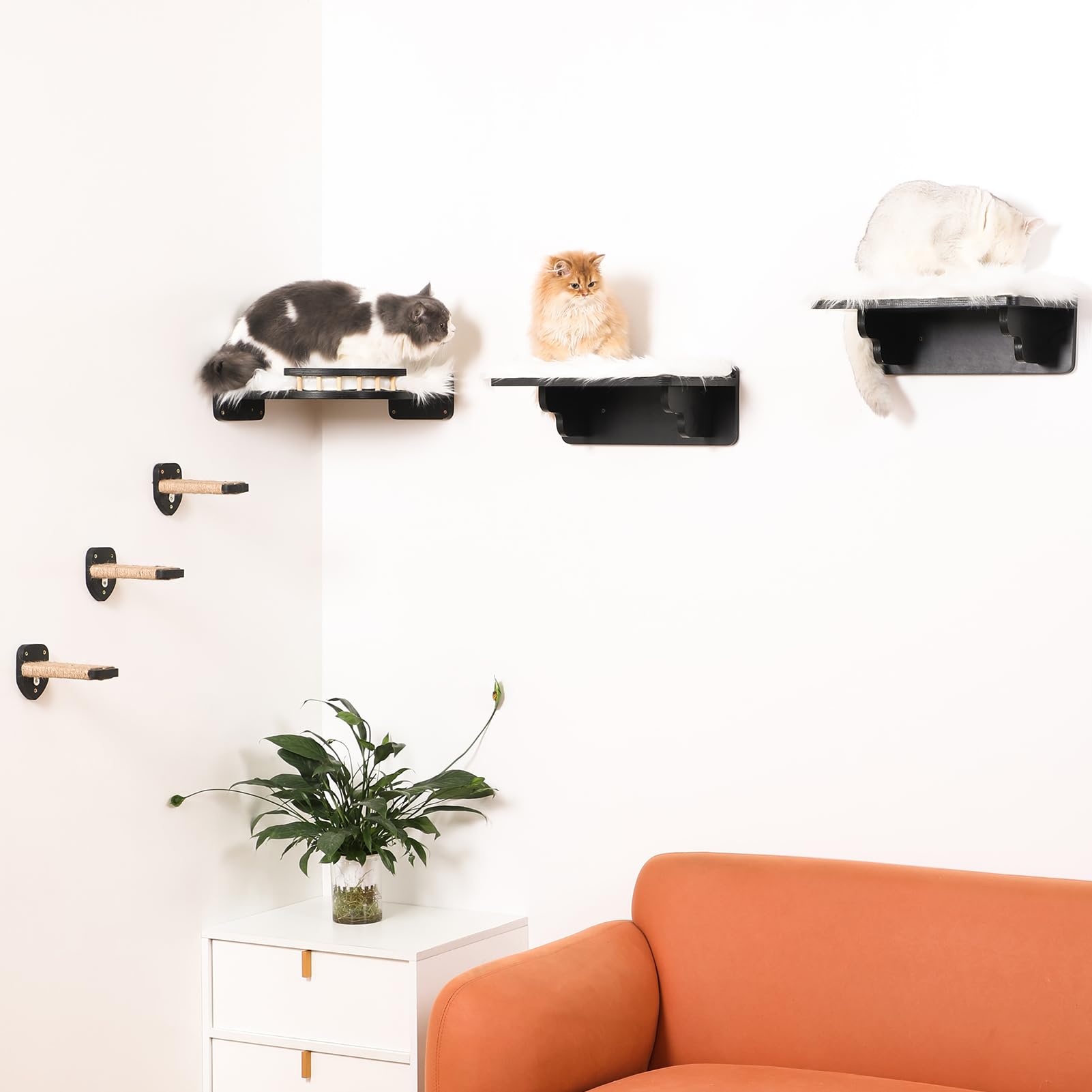COOLEX Cat Wall Shelves, 9 in 1 Cat Wall Furniture Set, Wood Cat Climbing Shelves for Wall, Durable and Safe Corner Cat Shelf Perches Steps (Black)