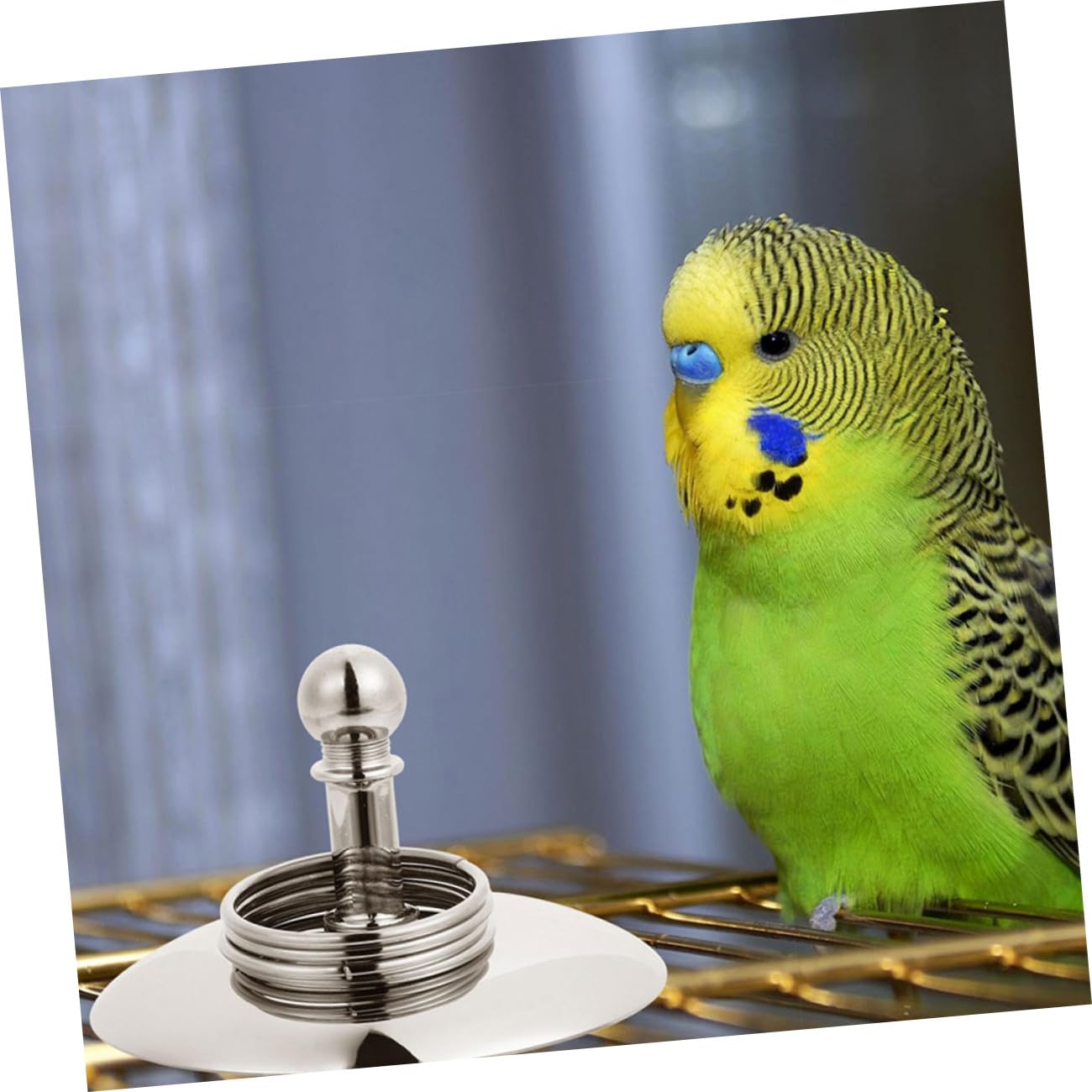 VANZACK 4juegos Juguete De Entrenamiento De Inteligencia para Aves Bicicleta y Anillo Interactivo para Periquitos y Loros para Estimulación Mental y Diversión Educativa