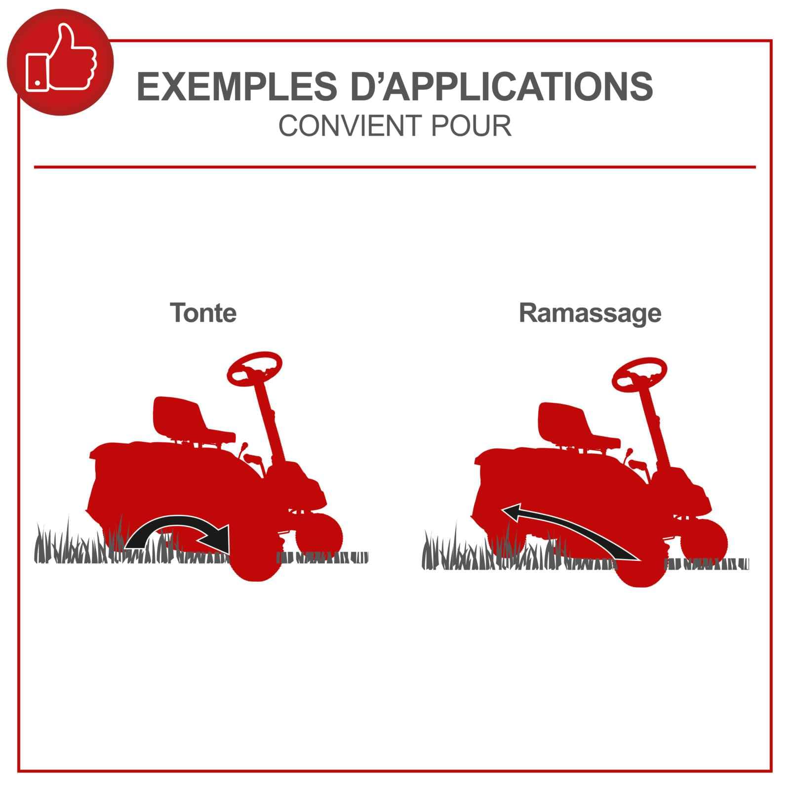Scheppach Tondeuse Thermique MR196-61 | Autoportée & Démarrage électrique |6,5 CV| Largeur de Coupe 61cm | 5 Positions |Ramassage 150 L| 4 Marche Avant- 1 Marche arrière | Lame supp. + Huile Incluse