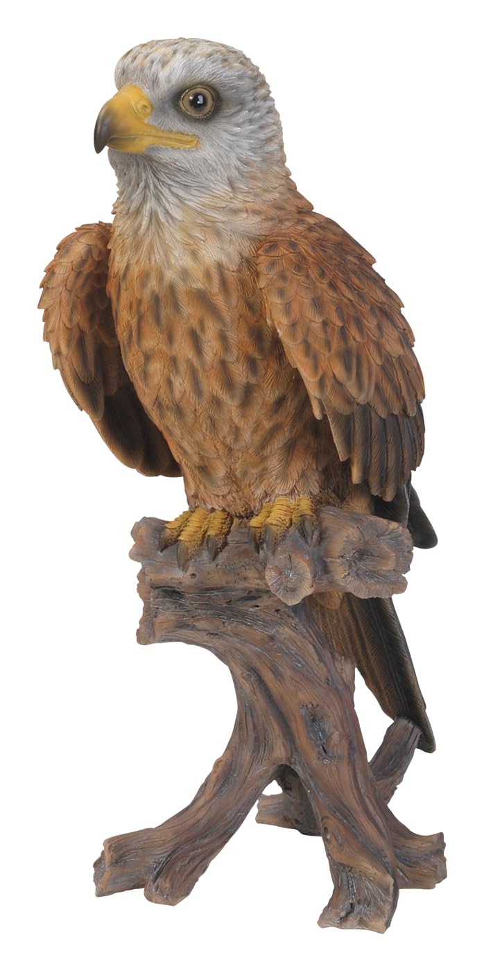 Vivid Arts - Red Kite Bird Size B - Indoor Outdoor - Garden Decor