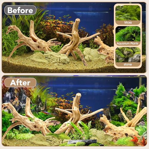 Image of Jorewood Natural Large Spiderwood Driftwood for Aquarium Decor Rptile Fish Tank Decoration Assort Branch 7-11'' 3 Pcs