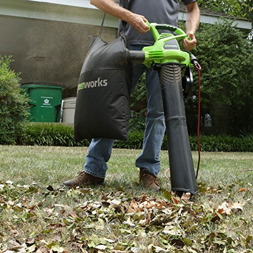 Greenworks 2 Speed 230 MPH Electric Leaf Blower/Vacuum 24022