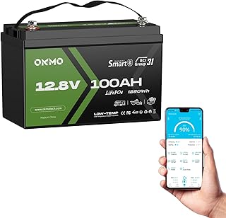 OKMO 12V 100Ah LiFePO4 Battery, Lithium Battery 100A BMS, 10 Years Lifetime 15000+ Deep Cycles,for Marine, RV, Trolling Motor, Boat, Camper, Solar Home Iron Phosphate, Low Temperature Protection