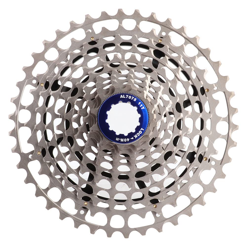 Pignone a ruota libera 11 marce 42T accessorio di ricambio (11-42T)