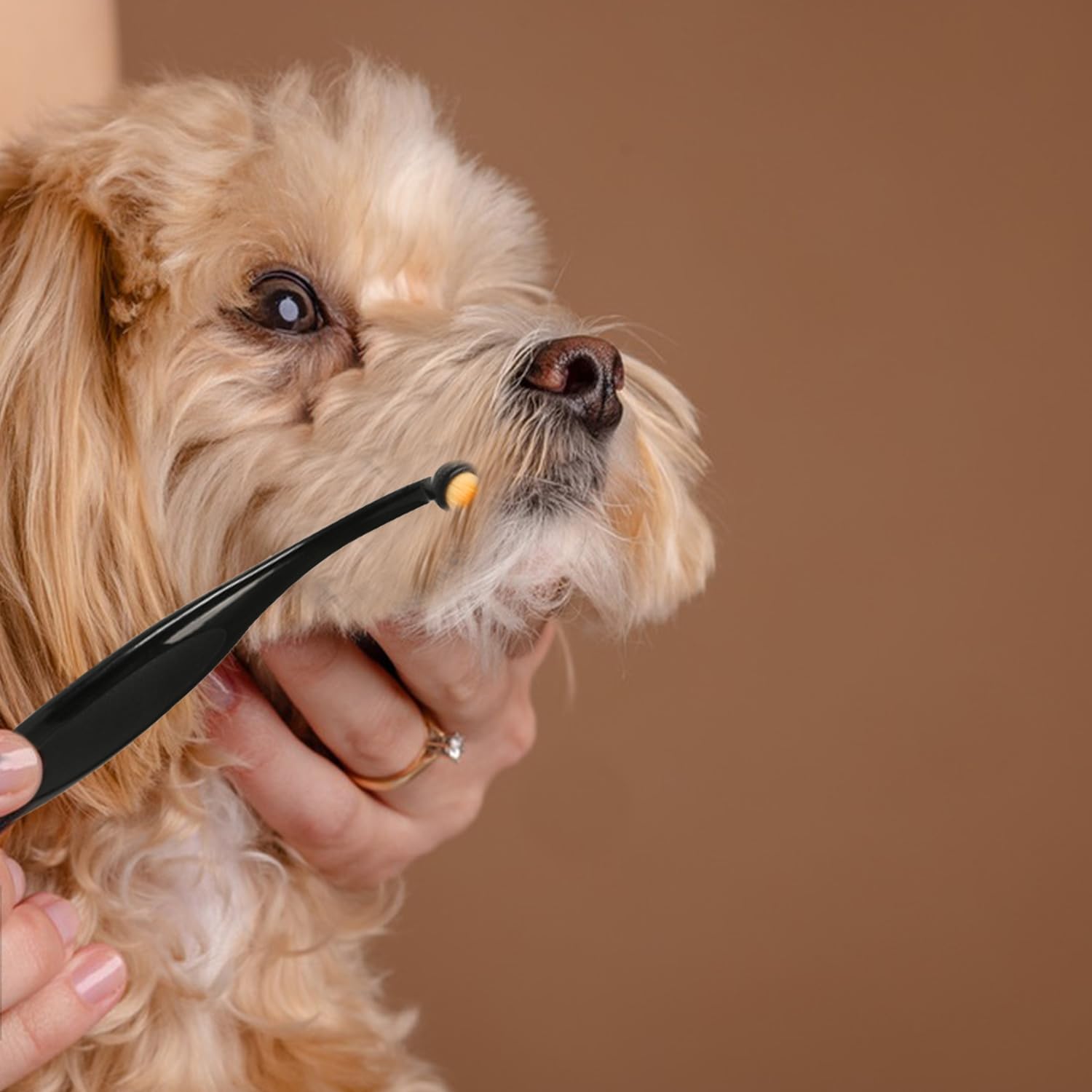 MEISH 2 Pieces Pro Powder Applicator Brush for Pet Evenly Apply Tear Stain Powder Brush Superfine Fiber Tear Stain Remover Brush - Image 3