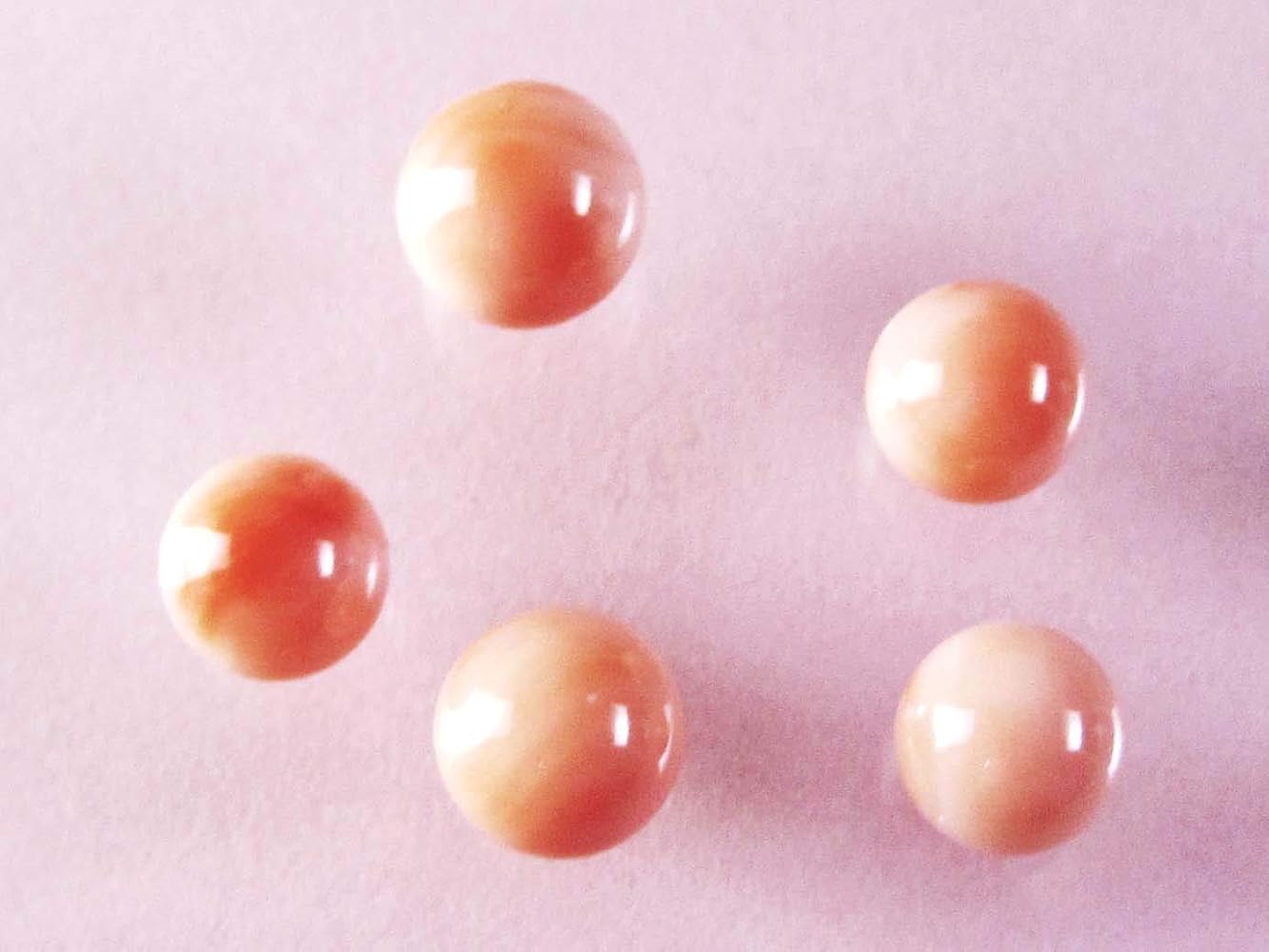 珊瑚サンゴルース、重约25.9g 12031518_529d779d70241.jpg