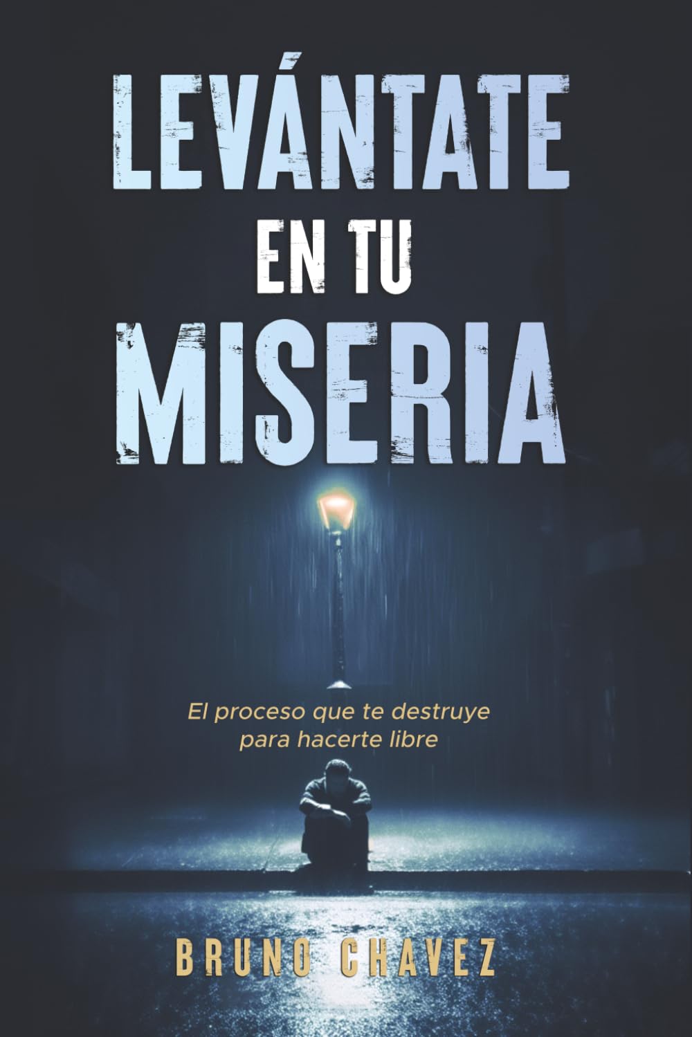Levántate en tu Miseria: El proceso que te destruye para hacerte libre (La Escuela del Alma)