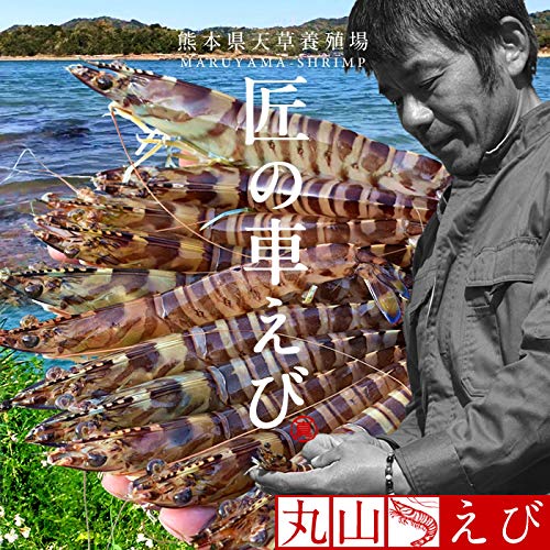 【車海老図】林文塘 2732 車エビ 肉筆　掛け軸 Amazon.co.jp: えび 車海老 特大［2L］250g（6尾入）×2P【活〆生冷凍