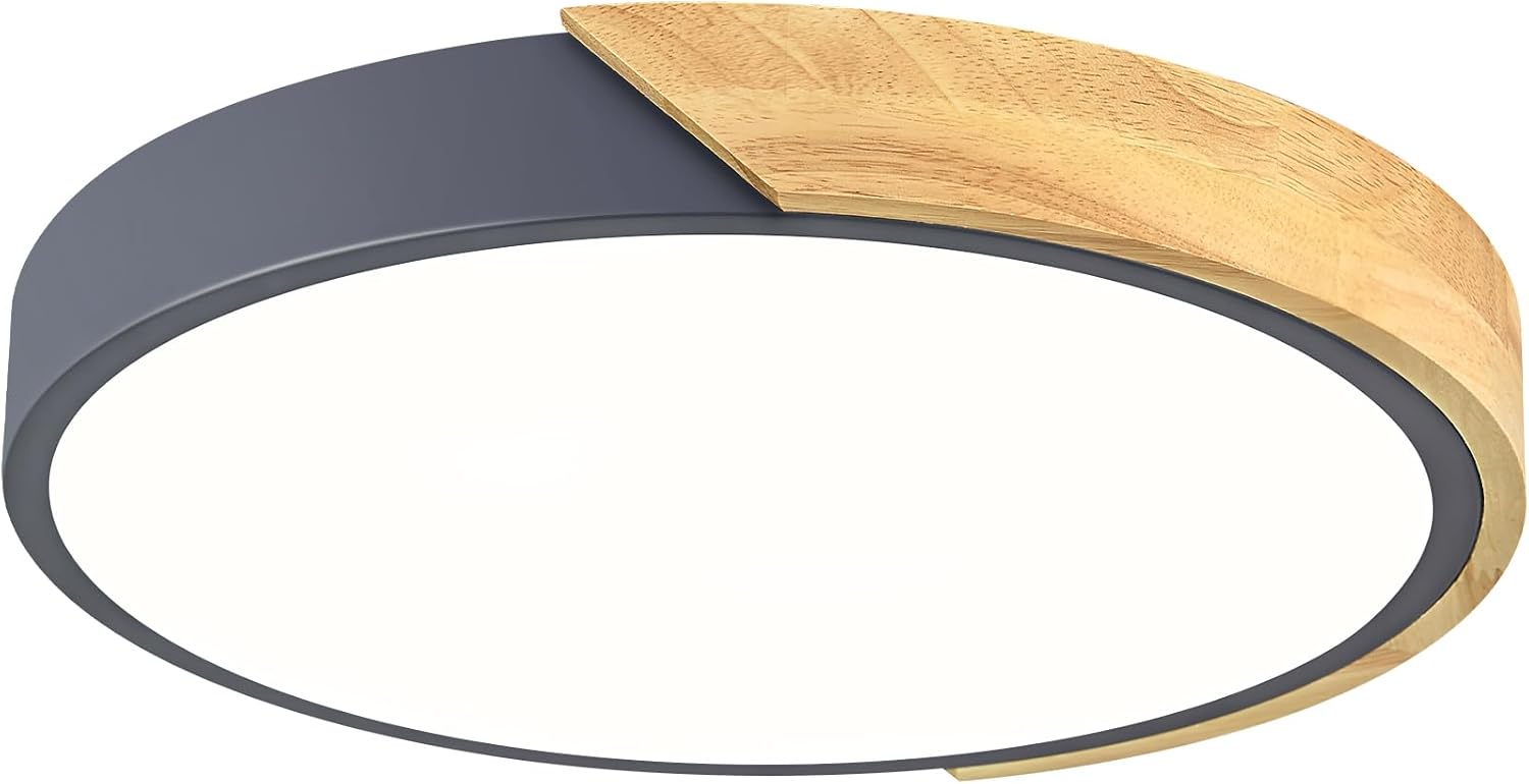 Vikaey Modern LED Ceiling Light