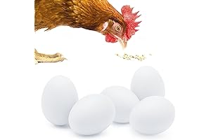 SunGrow Dummy Eggs: The Solution for Chickens Laying in the Wrong Places