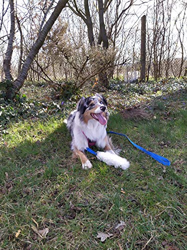 Dingo Hundespielzeug aus echtem Lammfell mit Griff Apporte Motivation Spiel Zerrspielzeuge Training Violetter Griff 15582