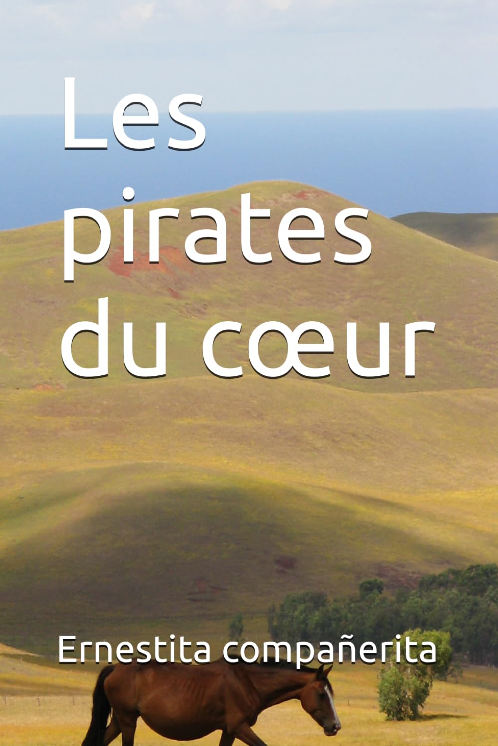 Les pirates du cœur