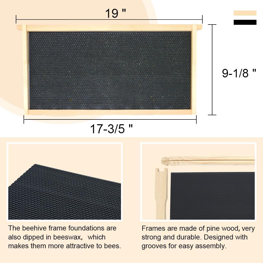 Beehive Frames and Wax Foundations for Deep Brood Box Bee Hives Frames and 100% Beeswax Coated Foundations Sheets Deep Bee Frames and Foundations 10 Pack - Image 2