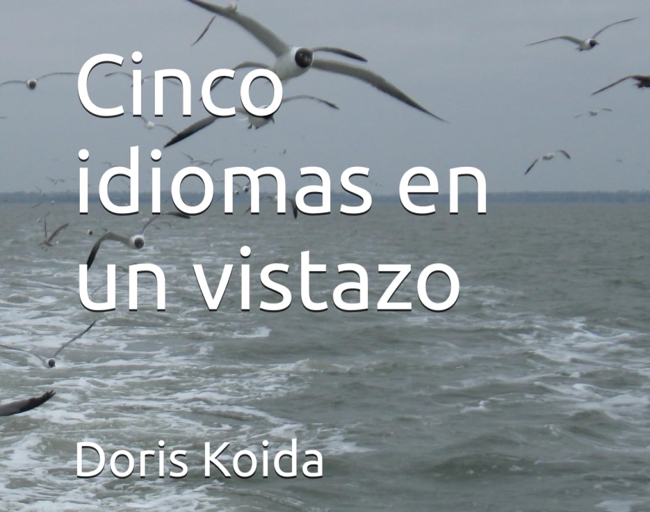 Cinco idiomas en un vistazo