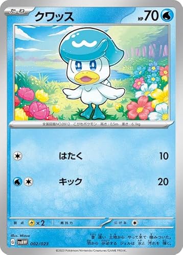 |PJ[hQ[SV svA X^[^[Zbgex NbX (002/023) | |PJ  ˃|P PMsvAW