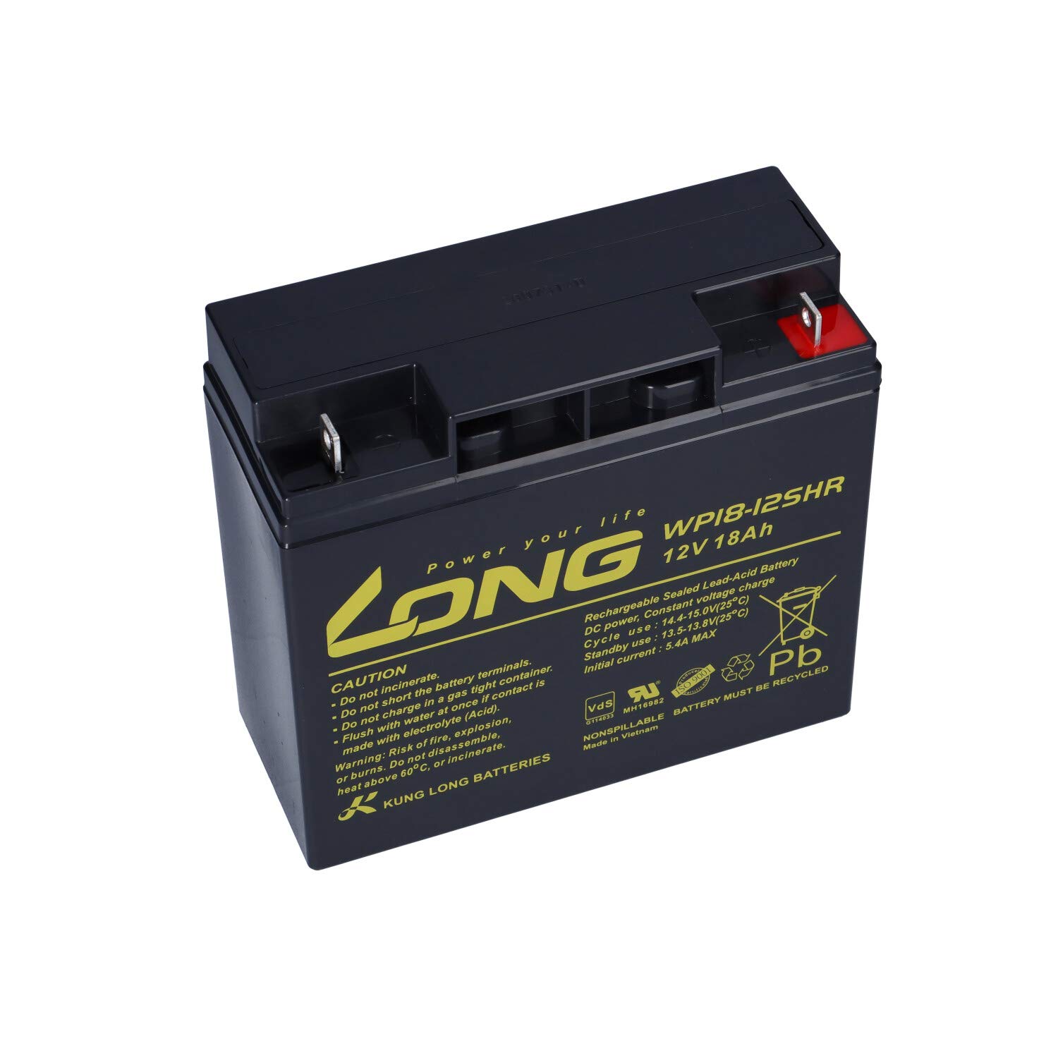 WSB Batterie 18 Ah 12 V AGM au plomb pour tondeuse à gazon, tracteur-tondeuse autoportée 17 Ah 19 Ah 20 Ah 22 Ah 23 Ah