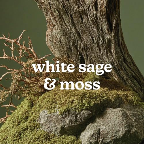 Homedics Aceite Aromático White Sage & Moss 15ml miniatura 2