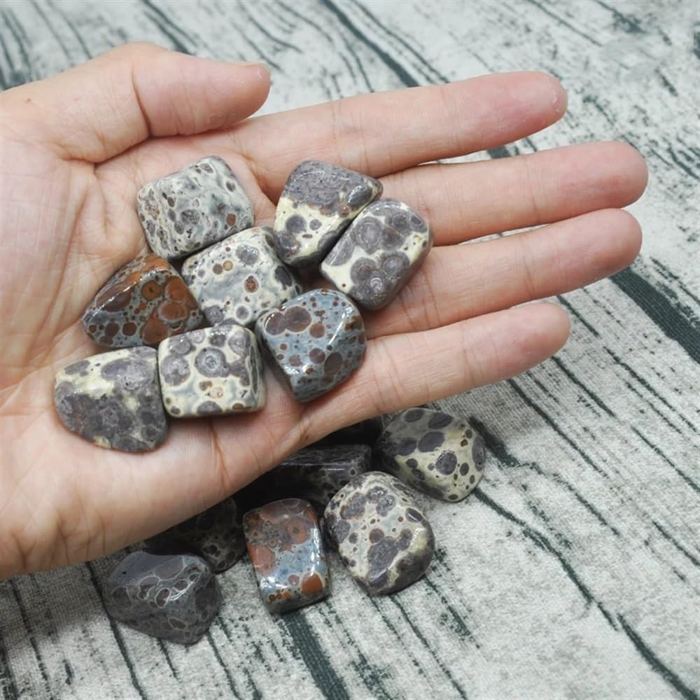AtkitS Bellissimo Naturale variegato Fiocco di Neve Ghiaia Campione Dimensione Irregolare burattato Pietra curativa Cristal di Quarzo Minerale Decorazione Acquario Domestico(500g)