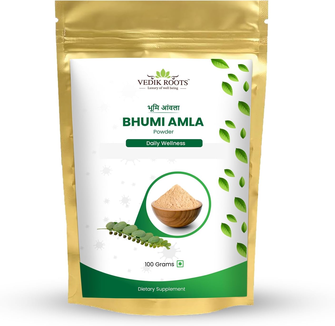 Organic Bhumi Amla Powder - Rich in Antioxidant Vitamin C - Supports Healthy Immune Function 100Gm (Pack of 1)