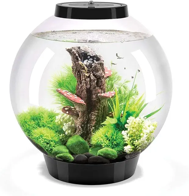 Classic 30L Black Biorb Terrarium with MCR LED Lighting