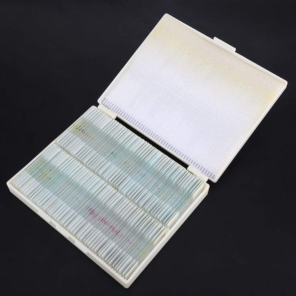 100 piezas Juego de portaobjetos preparado Portaobjetos de microscopio preparado Laboratorio Surtido de muestras Accesorios para microscopios