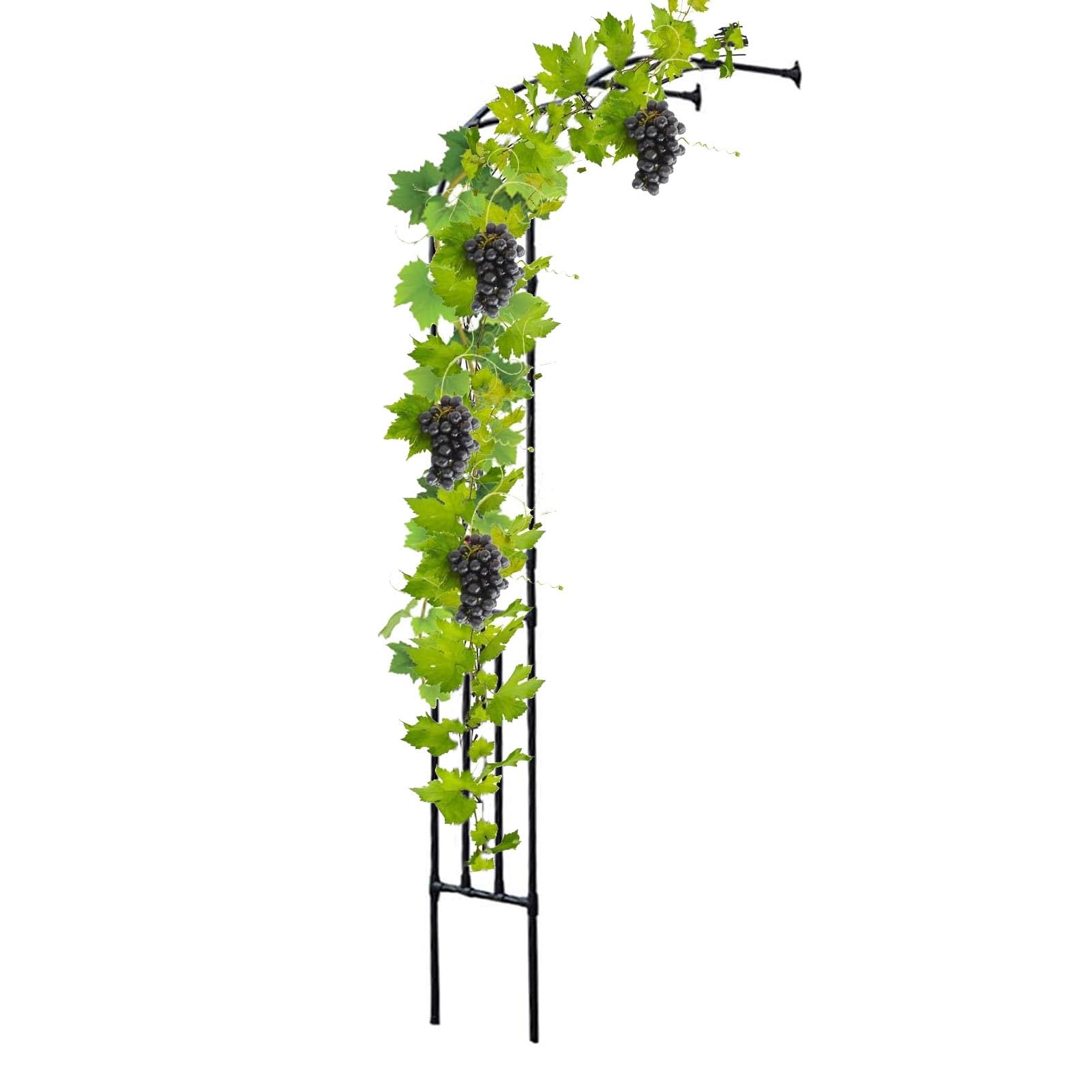 Ta kratka ogrodowa, łuk półboczny, wytrzymała, altanka ogrodowa, winogrona, winogrona, pergola, metalowe łuki weselne - wys. 240 cm / 240 cm