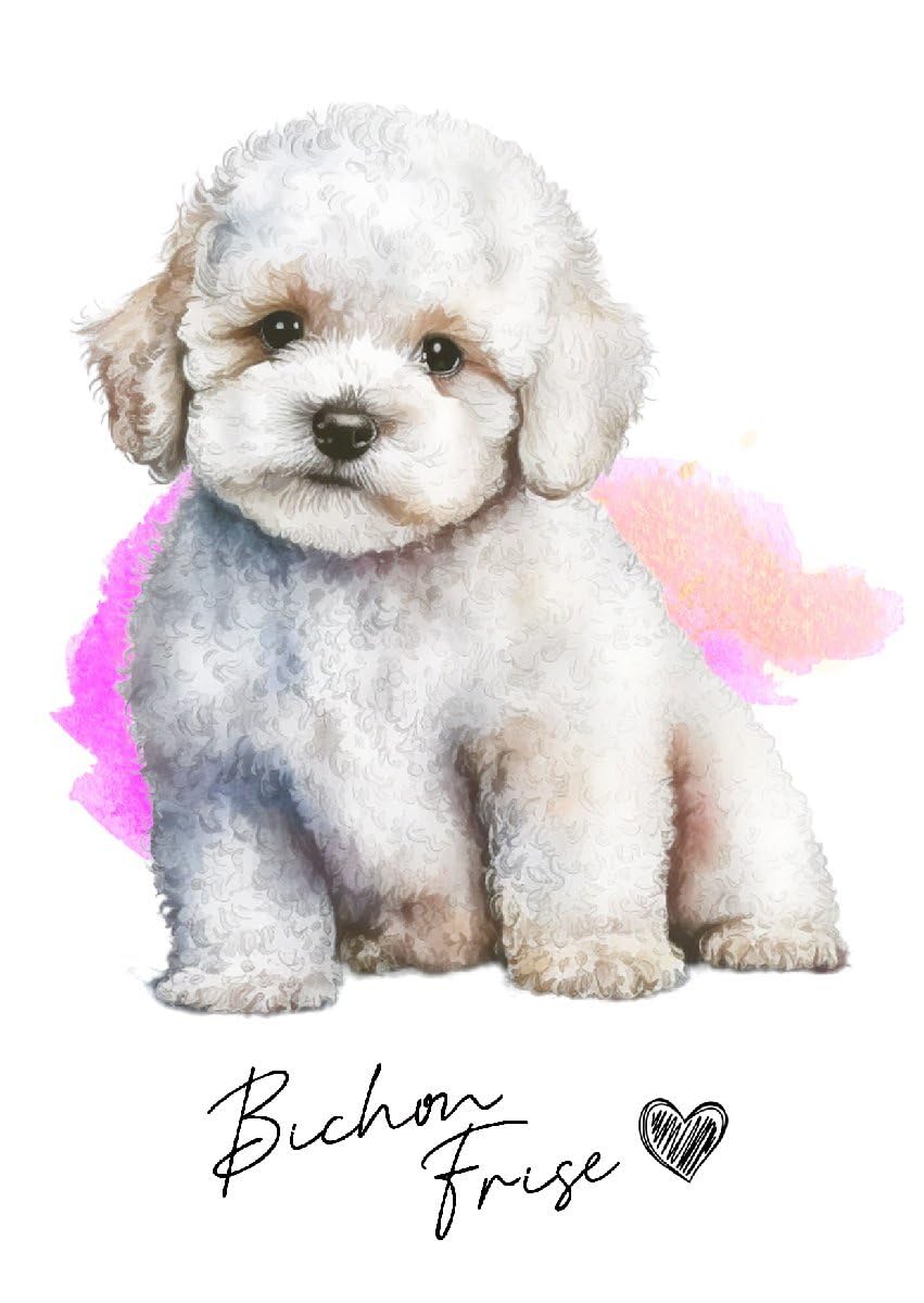Amazon.co.jp: ポストカード Bichon Frise/ビション・フリーゼ