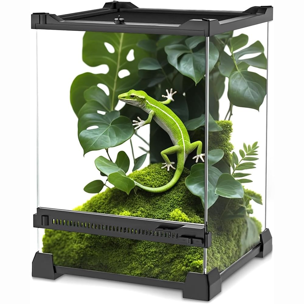 WYWY Terrario in Vetro per Rettili, Nano Vivario con Coperchio a Rete Bloccabile e Ventilazione, Terrario per Cuccioli di Serpente, Rane, Gechi e Anfibi