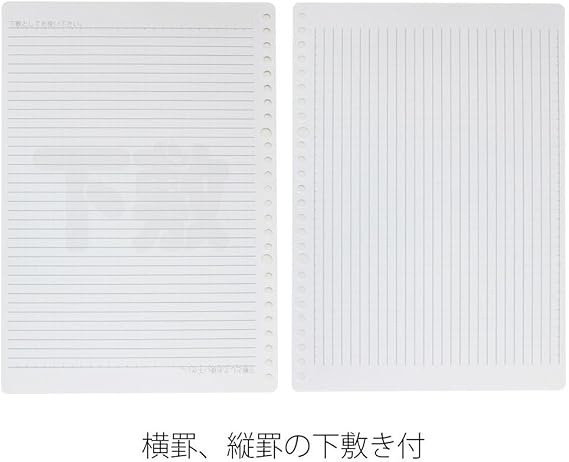 Maruman 26-Hole B5 Loose Sheets, Unruled, 100-sheet/pack, 1 Pack (L1206H)