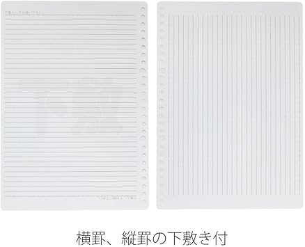 Maruman 26-Hole B5 Loose Sheets, Unruled, 100-sheet/pack, 1 Pack (L1206H)