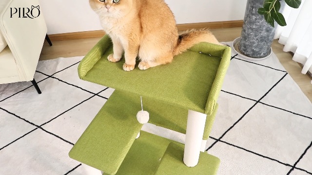 PETTIFUL　キャットタワー　グリーン　高さ148cm　全面クッション入り Amazon | PETTIFUL キャットタワー ＼全面クッション入り／ 据え置き