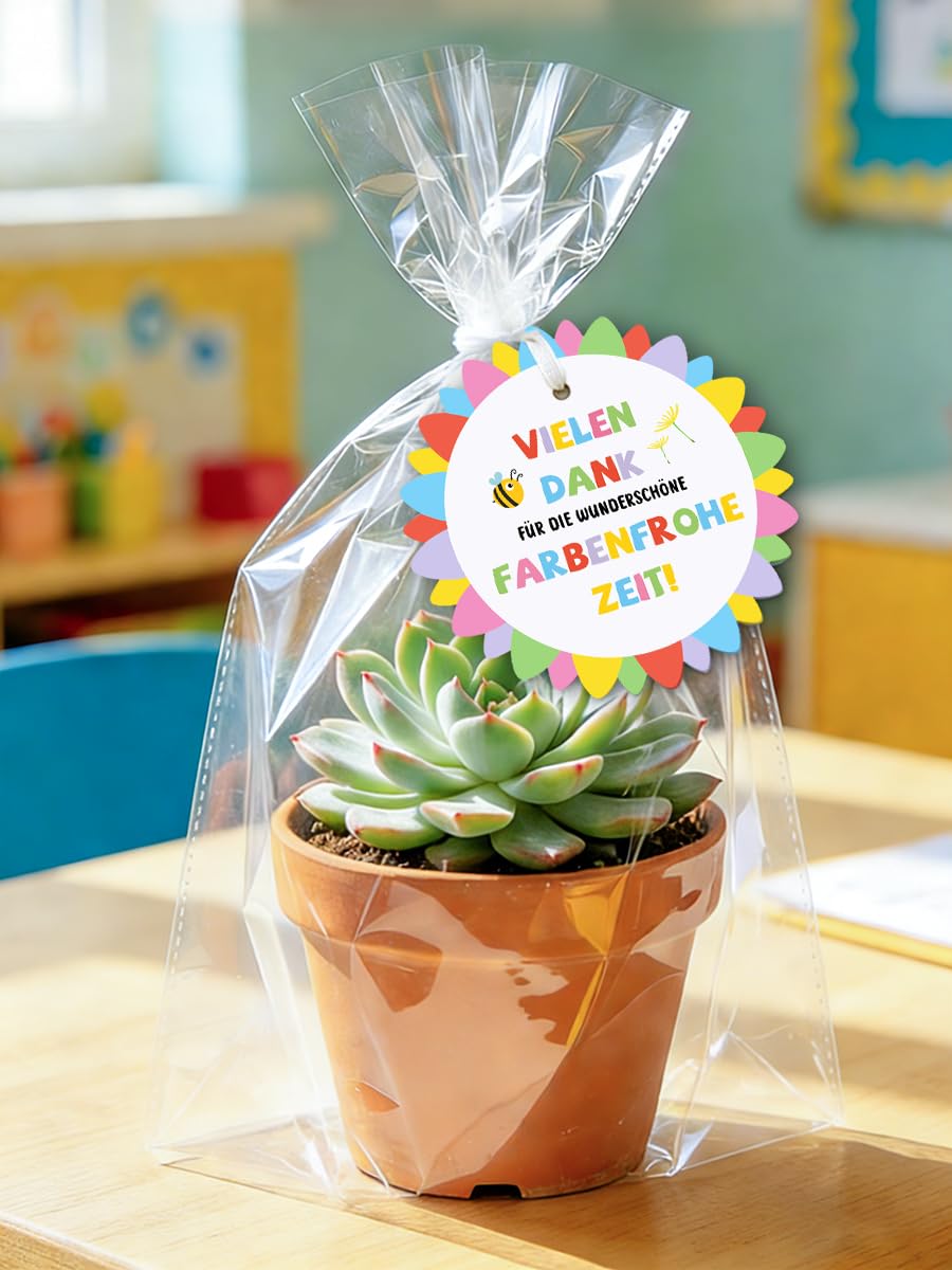 10 Stück Abschiedsgeschenk Erzieherin Geschenkanhänger - Vielen Dank für die Wunderschön Farbenfrohe Zeit, Danke Erzieherin Abschied, Kita & Kindergarten Abschiedsgeschenk für Erzieher