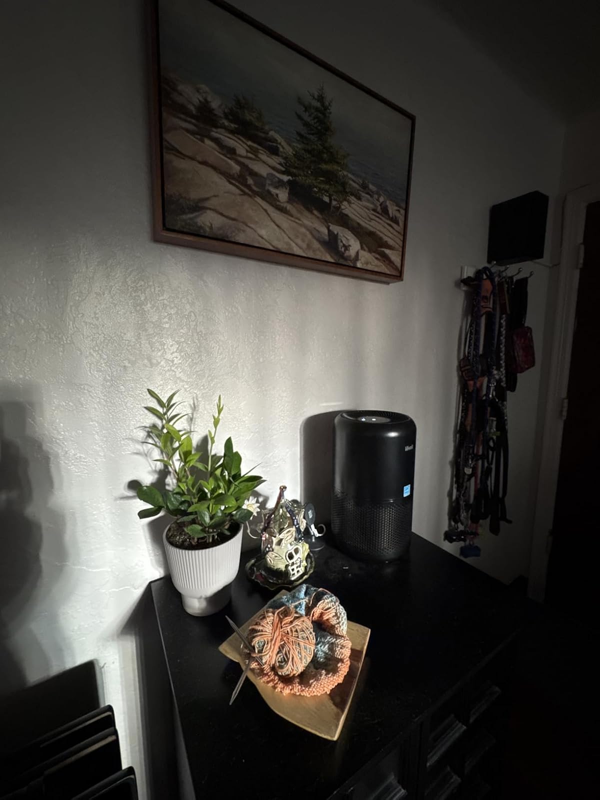 Levoit Core 300 air purifier close-up