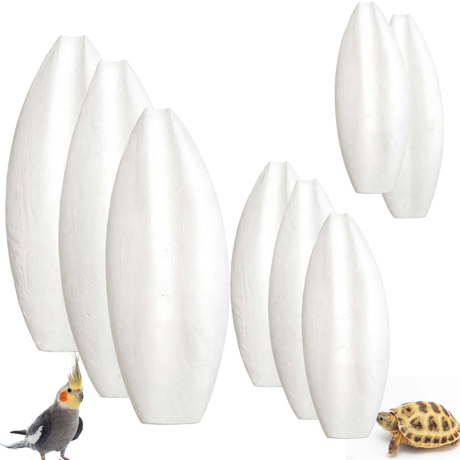 8PCS Cuttlefish, Cuttlefish Bone, Cuttlefish for Birds, Cuttlefish Bone for Tortoise, Ideal Gifts for Birds and Reptiles