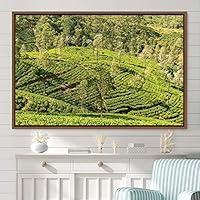 Framed Canvas Wall Art Greenlands Aerial Dark Farmhouse/Country Green Nature Photography Realism Relax/Calm - 16x24 inches